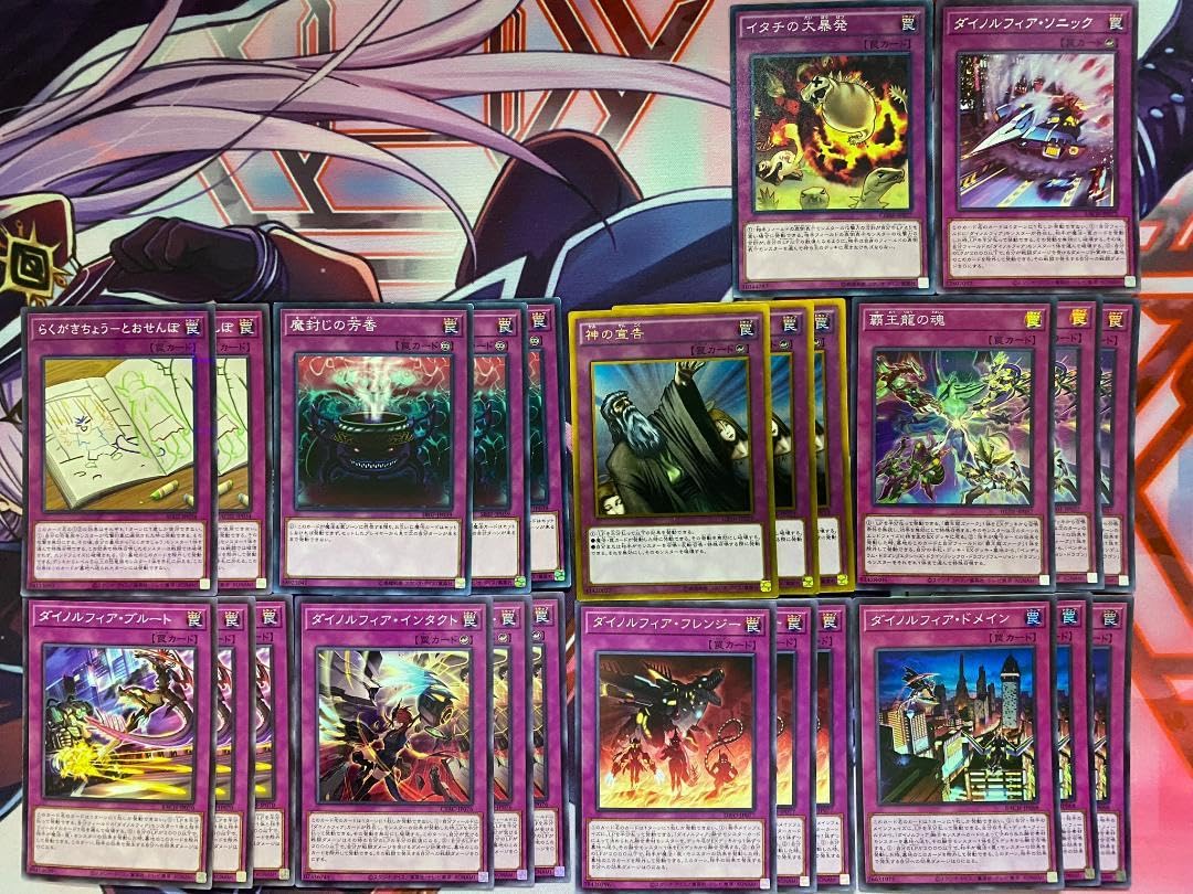 Amazon.co.jp: 24時間以内 遊 戯 王 ダイノルフィア 本格構築済み